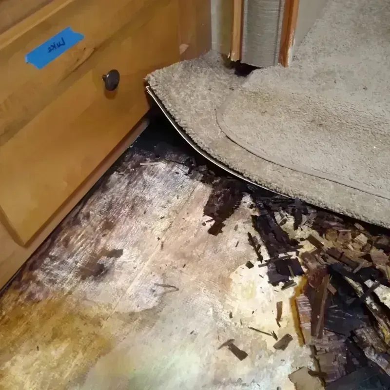 Best Wood Floor Water Damage Service in Des Arc, AR